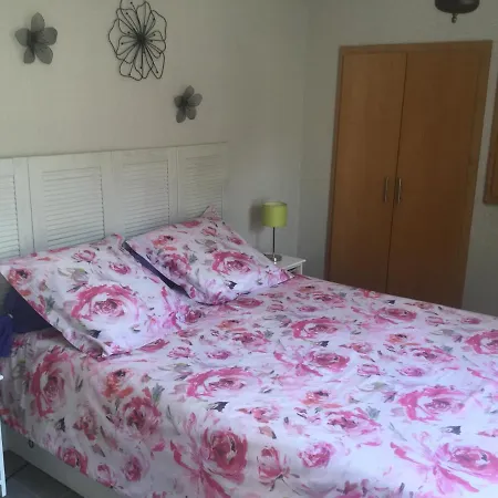 花园边小屋